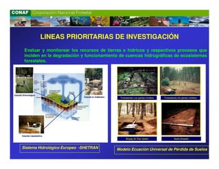 LINEAS PRIORITARIAS DE INVESTIGACIÓN
 Evaluar y monitorear los recursos de tierras e hídricos y respectivos procesos que
 inciden en la degradación y funcionamiento de cuencas hidrográficas de ecosistemas
 forestales.
 forestales.




Sistema Hidrológico Europeo -SHETRAN      Modelo Ecuación Universal de Pérdida de Suelos
 