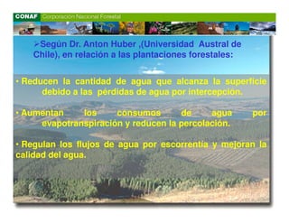 Según Dr. Anton Huber ,(Universidad Austral de
   Chile), en relación a las plantaciones forestales:


• Reducen la cantidad de agua que alcanza la superficie
      debido a las pérdidas de agua por intercepción.

• Aumentan    los     consumos       de     agua        por
     evapotranspiración y reducen la percolación.

• Regulan los flujos de agua por escorrentía y mejoran la
calidad del agua.
 