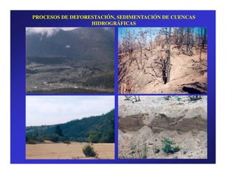 PROCESOS DE DEFORESTACIÓN, SEDIMENTACIÓN DE CUENCAS
                  HIDROGRÁFICAS
 