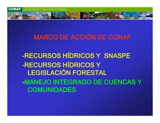 MARCO DE ACCIÓN DE CONAF

-RECURSOS HÍDRICOS Y SNASPE
-RECURSOS HÍDRICOS Y
  LEGISLACIÓN FORESTAL
-MANEJO INTEGRADO DE CUENCAS Y
  COMUNIDADES
 
