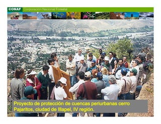 Proyecto de protección de cuencas periurbanas cerro
Pajaritos, ciudad de Illapel, IV región.
 