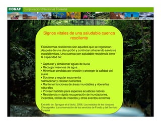 Signos vitales de una saludable cuenca
                   rescilente

Ecosistemas rescilentes son aquellos que se regeneran
después de una disrupción y continúan ofreciendo servicios
ecosistémicos. Una cuenca con saludable resislencia tiene
la capacidad de:

• Capturar y almacenar aguas de lluvia
• Recargar reservas de agua
• Minimizar perdidas por erosión y proteger la calidad del
suelo
• Sostener y regular escorrentia
•Almacenar y reciclar nutrientes
• Mantener funciones de áreas inundables y ribereñas
naturales
• Proveer habitats para especies acuáticas nativas
• Resistencia y rápida recuperación de inundaciones,
incendios, brotes de insectos y otros eventos extremos

Extraído de: Sprague et al (eds). 2006. Los estados de los bosques
Chesapeake. La conservación de los servicios de Fondo y del Servicio
Forestal

.
 