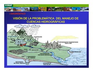 DIAGNÓSTICO

       VISIÓN DE LA PROBLEMÁTICA DEL MANEJO DE
                CUENCAS HIDROGRÁFICAS



DEFORESTACIÓN
                                             EVAPORACIÓN

              EVAPORACIÓN
                                EROSIÓN
   PRESA                                                                  CONTAMINANTES TRANSPORTADOS
                                                                                  POR EL AIRE


 HIDROELECTRICIDAD

                            RIEGO
                                         DESVIACIÓN
                                                                                           CONTAMINACIÓN
                                                     CONTAMINACIÓN
                                                  POR AGUAS RESIDUALES
                       POZO         HUNDIMIENTO
                                    DEL TERRENO


             ABATIMIENTO
           DEL NIVEL FREÁTICO                              INTRUSIÓN DE
                                                            AGUA SALINA
 