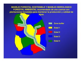 MANEJO FORESTAL SOSTENIBLE Y MANEJO HIDROLOGICO
    FORESTAL AMBIENTAL recomendado de una cuenca con
plantaciones forestales para mantener la producción y calidad de
                              agua.



                                            Zona buffer

                                            Edad 1

                                            Edad 2

                                            Edad 3

                                            Edad 4
 