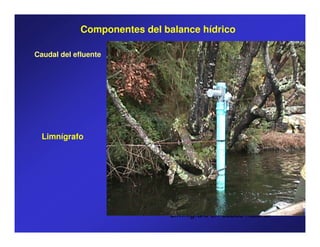Componentes del balance hídrico

Caudal del efluente




  Limnígrafo




                              Limnígrafo en cauce natural
 