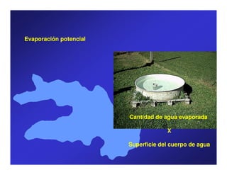 Evaporación potencial




                        Cantidad de agua evaporada

                                     X

                        Superficie del cuerpo de agua
 