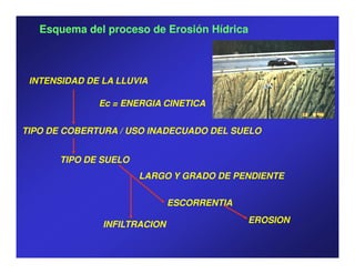 Esquema del proceso de Erosión Hídrica



 INTENSIDAD DE LA LLUVIA

              Ec = ENERGIA CINETICA


TIPO DE COBERTURA / USO INADECUADO DEL SUELO


       TIPO DE SUELO
                       LARGO Y GRADO DE PENDIENTE

                              ESCORRENTIA

               INFILTRACION                 EROSION
 