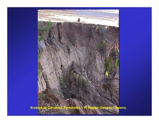 Erosión de Cárvavas, Paredones – VI Región (Secano Costero)
 