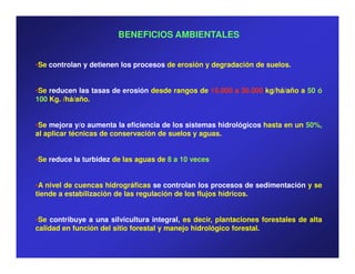 BENEFICIOS AMBIENTALES


•Se controlan y detienen los procesos de erosión y degradación de suelos.


•Se reducen las tasas de erosión desde rangos de 15.000 a 30.000 kg/há/año a 50 ó
100 Kg. /há/año.


•Se mejora y/o aumenta la eficiencia de los sistemas hidrológicos hasta en un 50%,
al aplicar técnicas de conservación de suelos y aguas.


•Se reduce la turbidez de las aguas de 8 a 10 veces


•A nivel de cuencas hidrográficas se controlan los procesos de sedimentación y se
tiende a estabilización de las regulación de los flujos hídricos.


•Se contribuye a una silvicultura integral, es decir, plantaciones forestales de alta
calidad en función del sitio forestal y manejo hidrológico forestal.
 