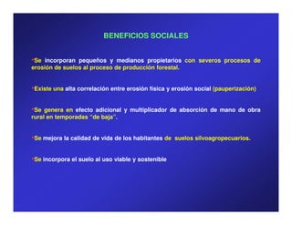 BENEFICIOS SOCIALES


•Se  incorporan pequeños y medianos propietarios con severos procesos de
erosión de suelos al proceso de producción forestal.


•Existe una alta correlación entre erosión física y erosión social (pauperización)

•Se  genera en efecto adicional y multiplicador de absorción de mano de obra
rural en temporadas “de baja”.


•Se mejora la calidad de vida de los habitantes de   suelos silvoagropecuarios.


•Se incorpora el suelo al uso viable y sostenible
 