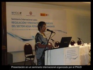 Presentación en un seminario internacional organizado por el PNUD
