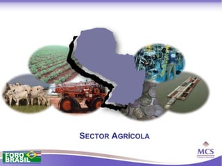 SECTOR AGRÍCOLA
 