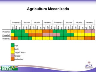 Agricultura Mecanizada


            Primavera           Verano             Otoño            Invierno         Primavera          Verano             Otoño            Invierno




                                                       May




                                                                                                                               May
                                           Mar




                                                                                                                   Mar
                  Nov




                                                                                           Nov
                                                                         Ago




                                                                                                                                                 Ago
                               Ene




                                                                                                       Ene
                                                                               Sep




                                                                                                                                                       Sep
                                     Feb




                                                                                                             Feb
                                                 Abr




                                                                                                                         Abr
            Oct




                                                                                     Oct
                                                             Jun




                                                                                                                                     Jun
                         DIc




                                                                                                 Dic
                                                                   Jul




                                                                                                                                           Jul
Parcela 1
Parcela 2
Parcela 3


                  Soja
                  Maíz
                  Trigo/Canola
                  Girasol
                  Barbecho
 