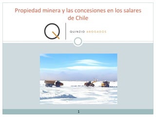 Propiedad	minera	y	las	concesiones	en	los	salares	
de	Chile
1
 