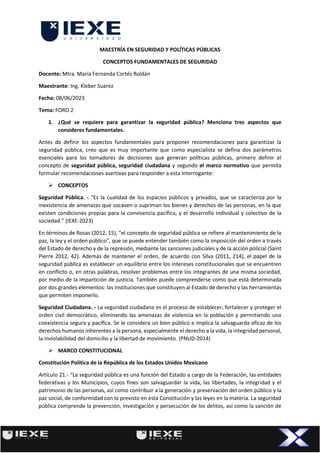 Foro de Seguridad Ciudadana y Seguridad Pública.pdf