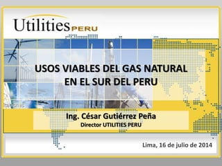 USOS VIABLES DEL GAS NATURAL
EN EL SUR DEL PERU
Ing. César Gutiérrez Peña
Director UTILITIES PERU
Lima, 16 de julio de 2014
 