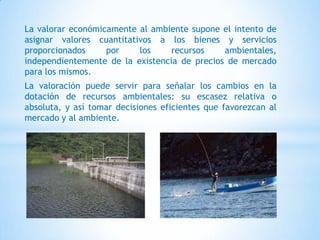 La valorar económicamente al ambiente supone el intento de
asignar valores cuantitativos a los bienes y servicios
proporcionados por los recursos ambientales,
independientemente de la existencia de precios de mercado
para los mismos.
La valoración puede servir para señalar los cambios en la
dotación de recursos ambientales: su escasez relativa o
absoluta, y así tomar decisiones eficientes que favorezcan al
mercado y al ambiente.
 