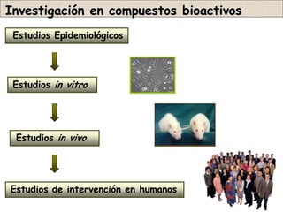 Investigación en compuestos bioactivos
 Estudios Epidemiológicos




 Estudios in vitro




 Estudios in vivo




Estudios de intervención en humanos
 