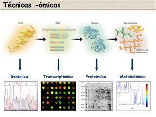 Técnicas -ómicas




  Genómica   Transcriptómica   Proteómica   Metabolómica
 