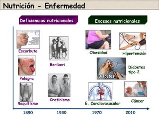 Nutrición - Enfermedad
    Deficiencias nutricionales        Excesos nutricionales




    Escorbuto                      Obesidad           Hipertensión

                  Beriberi
                                                        Diabetes
                                                        tipo 2
    Pelagra




                  Cretinismo                              Cáncer
   Raquitismo                    E. Cardiovasucular

      1890           1930           1970               2010
 
