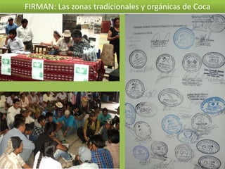 FIRMAN: Las zonas tradicionales y orgánicas de Coca

 