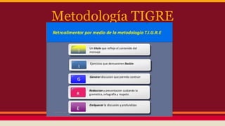 Metodología TIGRE
 