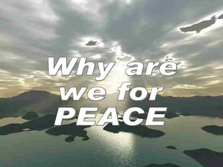 Why are  we for  PEACE 