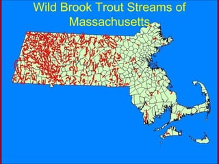 Massachusetts Dams
Over 2645 Dams
 