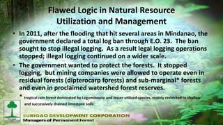 Philippine Forestry in the Era of Contradicting Policies | PDF