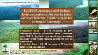 Production Zone – 51,479 hectares or 68%
adequately stocked production zone. However,
only 36,216 hectares are considered ...