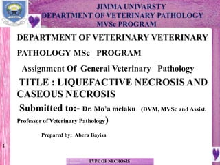JIMMA UNIVARSTY
DEPARTMENT OF VETERINARY PATHOLOGY
MVSc PROGRAM
TYPE OF NECROSIS
DEPARTMENT OF VETERINARY VETERINARY
PATHOLOGY MSc PROGRAM
Assignment Of General Veterinary Pathology
TITLE : LIQUEFACTIVE NECROSIS AND
CASEOUS NECROSIS
Submitted to:- Dr. Mo’a melaku (DVM, MVSc and Assist.
Professor of Veterinary Pathology)
Prepared by: Abera Bayisa
1
 