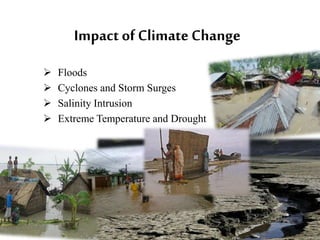 Climate Change and it's impact on Elderly people by Aadil Shaakir | PPTX