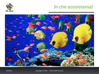 In	
  che	
  ecosistema?	
  
14/04/15	
   Copyright	
  ©	
  2013	
  	
  -­‐	
  	
  Tu6	
  i	
  diri6	
  riserva<.	
  	
  	
   5	
  
 