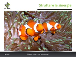 Sfruttare	
  le	
  sinergie	
  
14/04/15	
   Copyright	
  ©	
  2013	
  	
  -­‐	
  	
  Tu6	
  i	
  diri6	
  riserva<.	
  	
  	
   7	
  
 