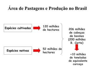 Espécies cultivadas
Espécies nativas
120 milhões
de hectares
52 milhões de
hectares
206 milhões
de cabeças
de bovinos
(200 milhões
B. Corte)
+10 milhões
de toneladas
de equivalente
carcaça
Área de Pastagens e Produção no Brasil
 