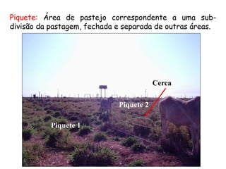 Piquete: Área de pastejo correspondente a uma sub-
divisão da pastagem, fechada e separada de outras áreas.
Piquete 1
Piquete 2
Cerca
 