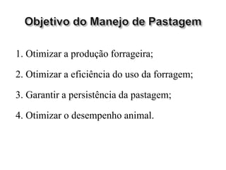 1. Otimizar a produção forrageira;
2. Otimizar a eficiência do uso da forragem;
3. Garantir a persistência da pastagem;
4. Otimizar o desempenho animal.
 