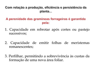 1. Capacidade em rebrotar após cortes ou pastejo
sucessivos;
2. Capacidade de emitir folhas de meristemas
remanescentes;
3. Perfilhar, permitindo a sobrevivência às custas da
formação de uma nova área foliar.
 