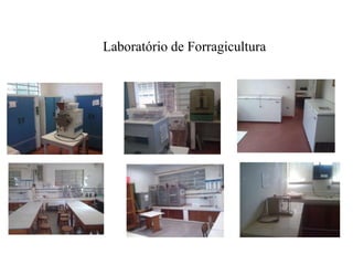 Laboratório de Forragicultura
 