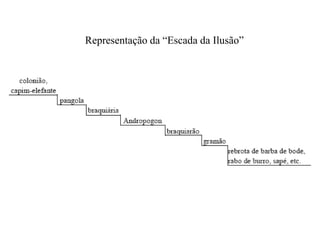 Representação da “Escada da Ilusão”
 