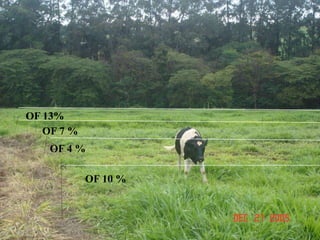 OF 10 %
OF 4 %
OF 7 %
OF 13%
 