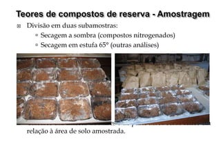  Divisão em duas subamostras:
 Secagem a sombra (compostos nitrogenados)
 Secagem em estufa 65° (outras análises)
 Cálculos das massas de raízes e de parte aérea serão feitos em
relação à área de solo amostrada.
 