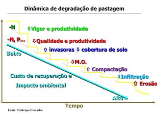 -N
-N, P... Qualidade e produtividade
Vigor e produtividade
 invasoras  cobertura de solo
M.O.
 Compactação
Infiltração
 Erosão
Custo de recuperação e
Impacto ambiental
Alto
Baixo
Tempo
Dinâmica de degradação de pastagem
Fonte: Embrapa Cerrados
 