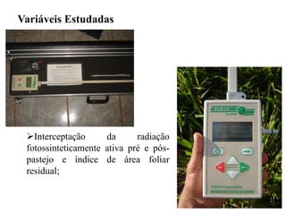 Interceptação da radiação
fotossinteticamente ativa pré e pós-
pastejo e índice de área foliar
residual;
Variáveis Estudadas
 