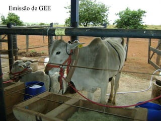 Emissão de GEE
 