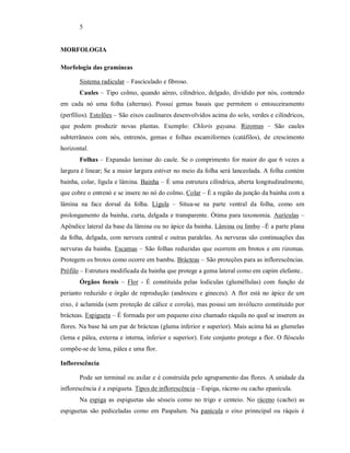 5
MORFOLOGIA
Morfologia das gramíneas
Sistema radicular – Fasciculado e fibroso.
Caules – Tipo colmo, quando aéreo, cilíndrico, delgado, dividido por nós, contendo
em cada nó uma folha (alternas). Possui gemas basais que permitem o entouceiramento
(perfílios). Estolões – São eixos caulinares desenvolvidos acima do solo, verdes e cilíndricos,
que podem produzir novas plantas. Exemplo: Chloris gayana. Rizomas – São caules
subterrâneos com nós, entrenós, gemas e folhas escamiformes (catáfilos), de crescimento
horizontal.
Folhas – Expansão laminar do caule. Se o comprimento for maior do que 6 vezes a
largura é linear; Se a maior largura estiver no meio da folha será lanceolada. A folha contém
bainha, colar, lígula e lâmina. Bainha – É uma estrutura cilíndrica, aberta longitudinalmente,
que cobre o entrenó e se insere no nó do colmo. Colar – É a região da junção da bainha com a
lâmina na face dorsal da folha. Lígula – Situa-se na parte ventral da folha, como um
prolongamento da bainha, curta, delgada e transparente. Ótima para taxonomia. Aurículas –
Apêndice lateral da base da lâmina ou no ápice da bainha. Lâmina ou limbo –É a parte plana
da folha, delgada, com nervura central e outras paralelas. As nervuras são continuações das
nervuras da bainha. Escamas – São folhas reduzidas que ocorrem em brotos e em rizomas.
Protegem os brotos como ocorre em bambu. Brácteas – São proteções para as inflorescências.
Prófilo – Estrutura modificada da bainha que protege a gema lateral como em capim elefante..
Órgãos forais – Flor - É constituída pelas lodiculas (gluméllulas) com função de
perianto reduzido e órgão de reprodução (androceu e gineceu). A flor está no ápice de um
eixo, é aclamida (sem proteção de cálice e corola), mas possui um invólucro constituído por
brácteas. Espigueta – É formada por um pequeno eixo chamado ráquila no qual se inserem as
flores. Na base há um par de brácteas (gluma inferior e superior). Mais acima há as glumelas
(lema e pálea, externa e interna, inferior e superior). Este conjunto protege a flor. O flósculo
compõe-se de lema, pálea e uma flor.
Inflorescência
Pode ser terminal ou axilar e é construída pelo agrupamento das flores. A unidade da
inflorescência é a espigueta. Tipos de inflorescência – Espiga, ráceno ou cacho epanícula.
Na espiga as espiguetas são sésseis como no trigo e centeio. No ráceno (cacho) as
espiguetas são pediceladas como em Paspalum. Na panícula o eixo prinncipal ou ráquis é
 