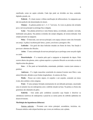 6
ramificado, como no capim colonião. Cada tipo pode ser dividido em laxa, contraída,
digitada, pseudo, etc.
Pedicelo – É a haste menor e última ramificação da inflorescência. As espiguetas que
não tem pedicelo são denominadas de sésseis.
Glumas – As glumas podem ter 1, 3, 5, 7 nervuras. As vezes as glumas são aristadas
pois a nervura principal se prolonga fina e delgada.
Lema – Nas plantas primitivas é uma bráctea típica, esverdeada, carenada e nervada,
lembrando uma gluma. Nas plantas evoluídas são sempre delgadas, de textura delicada. Está
sempre presente na espigueta.
Pálea – É binervada, sem nervura principal, com espaço côncavo entre elas formando
um estojo. A pálea é recoberta pelo lema e, juntos, envolvem e protegem a flor.
Lodículas – Em geral são duas lodículas situadas em frente do lema. Sua função é
provocar a abertura dos flóculos.
Arista – É uma continuação da nervura principal que se prolonga como um pelo rígido
ou cerda.
Desarticulação – É a maneira pela qual a espigueta se desprende da ráquis. Pode
ocorrer abaixo das glumas, entre a gluma superior e o primeiro flósculo ou em todos os nós da
ráquila acima das glumas.
Sexo – A flor pode ser hermafrodita, estaminada, pistilada e neutra (sem estames e
pistilos).
Androceu – É o órgão masculino constituído de estames.Consiste num filete e uma
antera bilocular, abrindo-se por fendas longitudinais. As anteras são fixas.
Pistilo – Possui um ovário súpero, tri carpelar e uni carpelar, contendo um único
óvulo, dois estiletes e dois estigmas.
Fruto – É uma cariopse formada externamente de um delicado pericarpo, encerrando
uma só semente rica em endosperma com o embrião situado na base. Na prática os frutos das
gramíneas são chamados de grãos.
Embrião – Está unido pelo cotilédone (escutelo) cuja função é dissolver as
substâncias nutritivas do endosperma e passá-las as outras partes do embrião (plântula) em
desenvolvimento.
Morfologia das leguminosas (fabaceas)
Sistema radicular – Pivotante com raízes principal, secundárias, terciárias, etc.
Possuem nódulos onde alojam bactérias que vivem em simbiose com a planta.
 