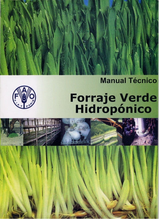 Manual de forraje hidroponico pdf995