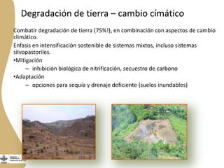 Forrajes en Livestock and Fish