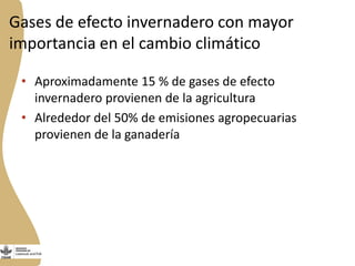 Forrajes en Livestock and Fish